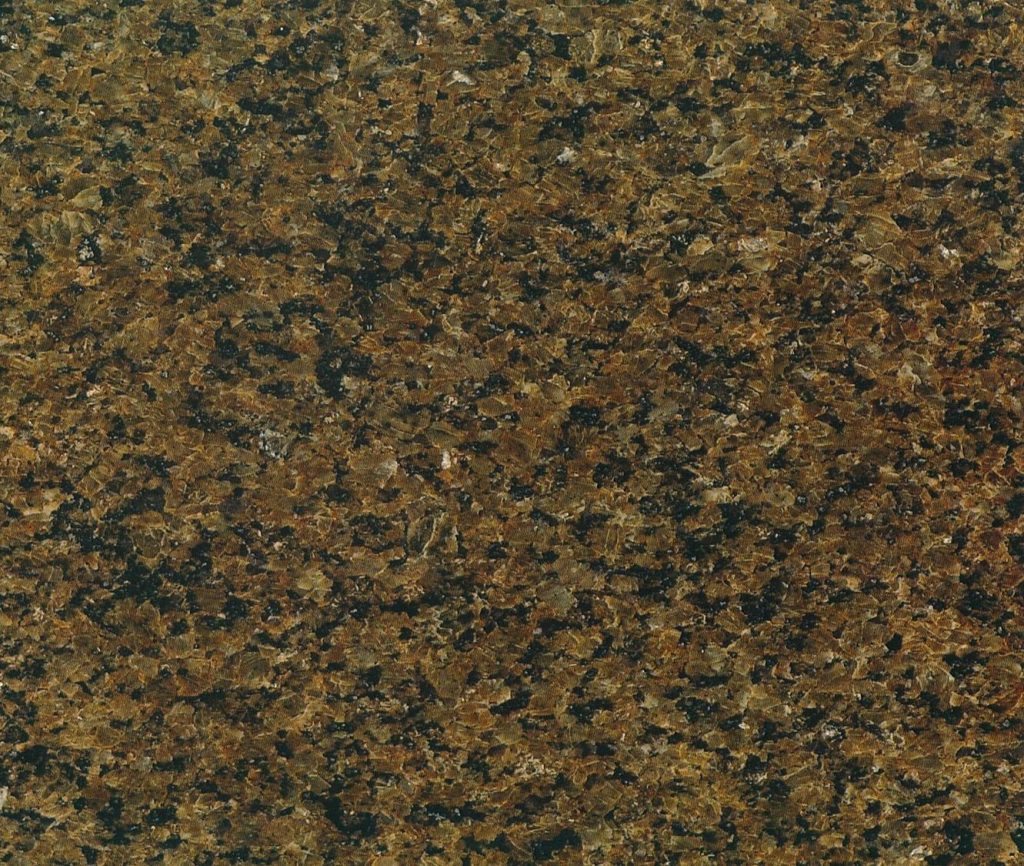 Tropic Brown
